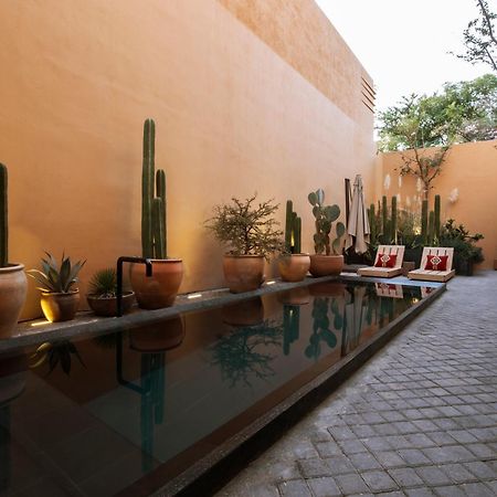 Macondo Arte Oaxaca Extérieur photo