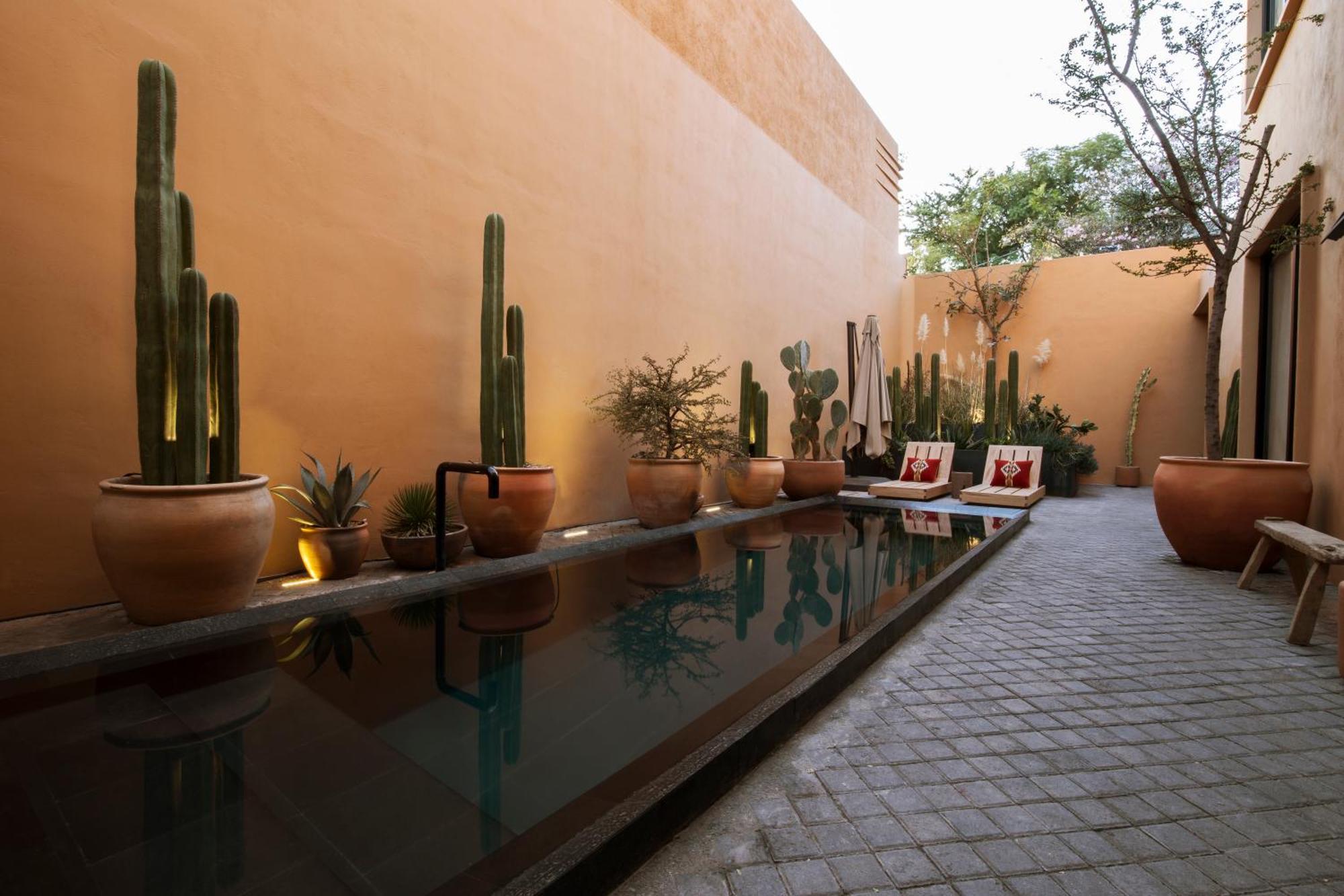 Macondo Arte Oaxaca Extérieur photo